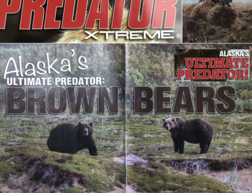 Alaskan Brown Bear Hunt In Predator Xtreme Magazine