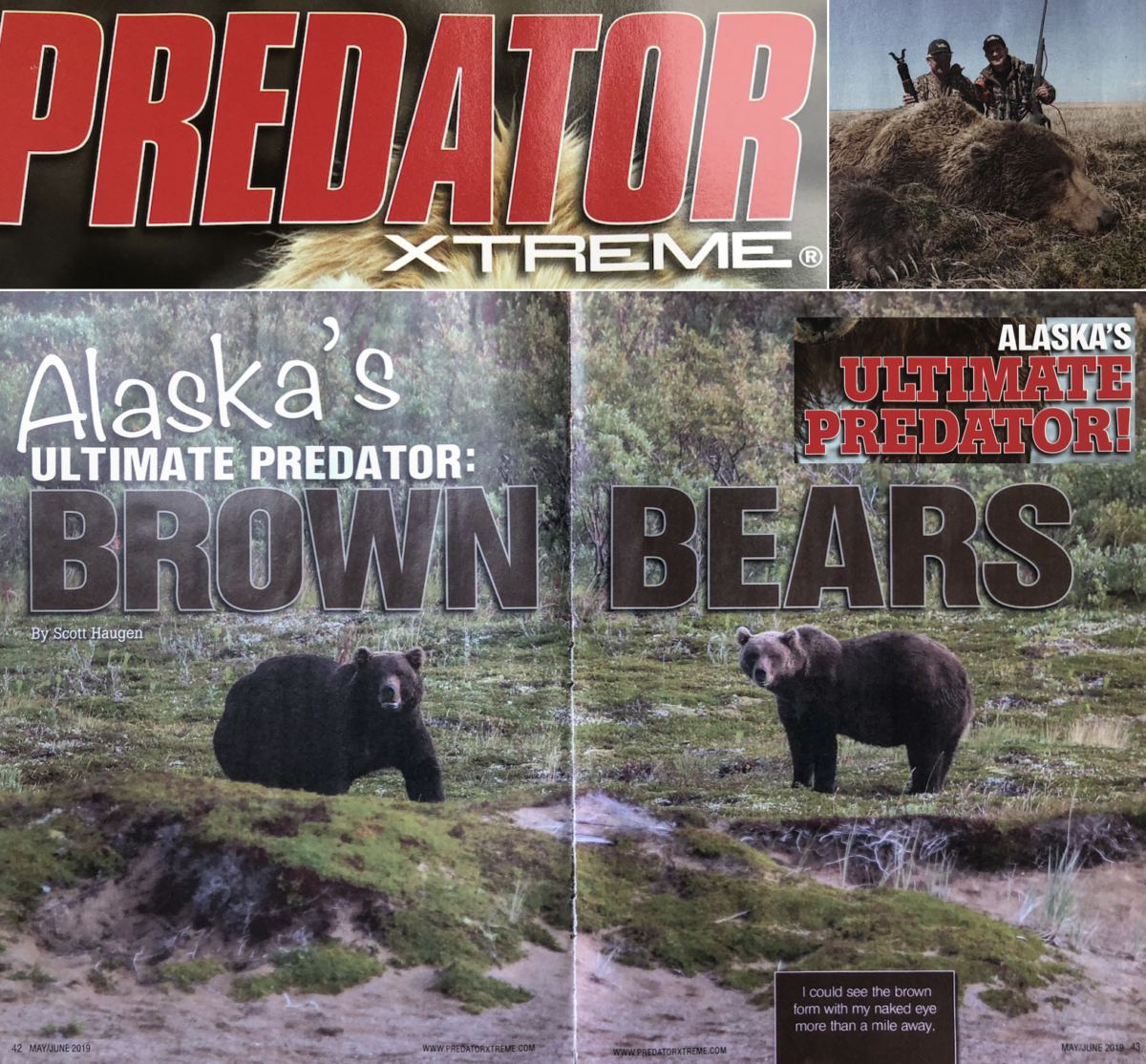 Alaskan Brown Bear Hunt In Predator Xtreme Magazine Becharof Outfitters